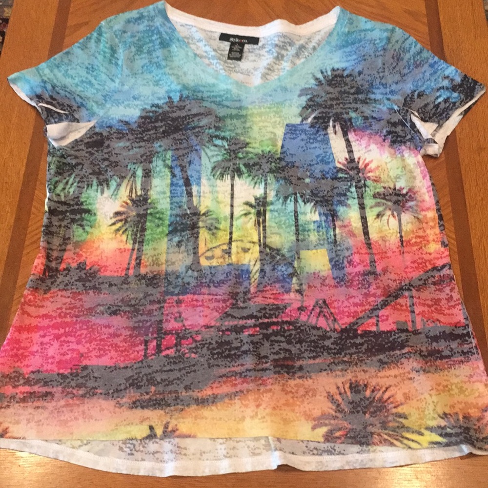 Colorful Vneck top